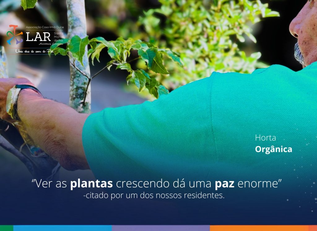 idoso cuidando da horta no lar santa maria da paz